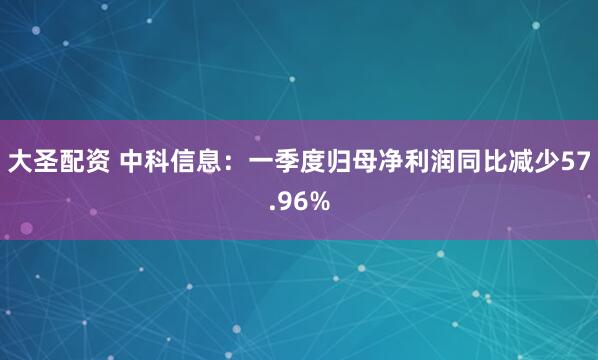 大圣配资 中科信息：一季度归母净利润同比减少57.96%