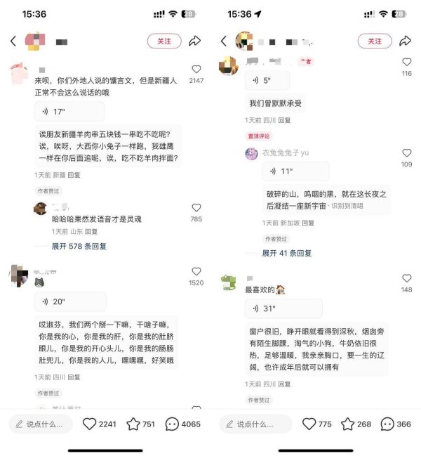 华楚新起点 小红书评论能发语音了，可惜90%的人都没有这功能！