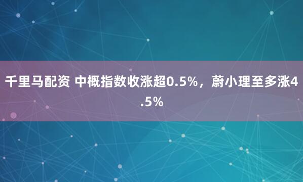 千里马配资 中概指数收涨超0.5%，蔚小理至多涨4.5%